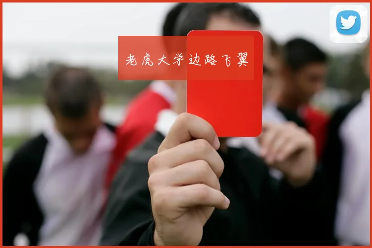 老虎大学边路飞翼