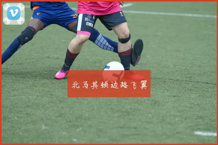 北马其顿边路飞翼 - 开云真人