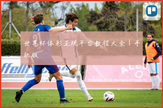 世界杯体彩正规平台教程大全｜手机版 - 开云真人