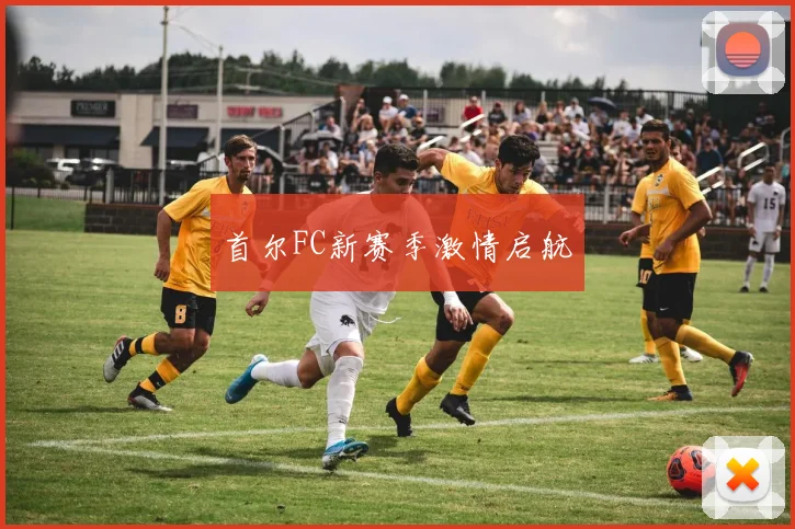 首尔FC新赛季激情启航 - 开云真人