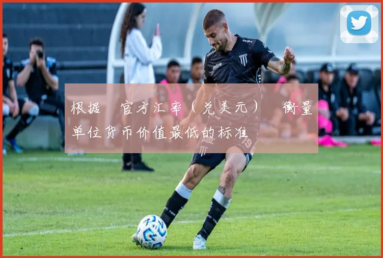 根据‌官方汇率（兑美元）‌衡量单位货币价值最低的标准 - 开云真人