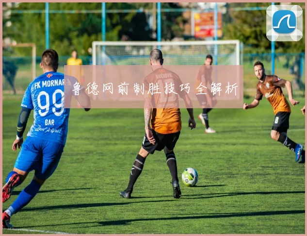 鲁德网前制胜技巧全解析 - 开云真人