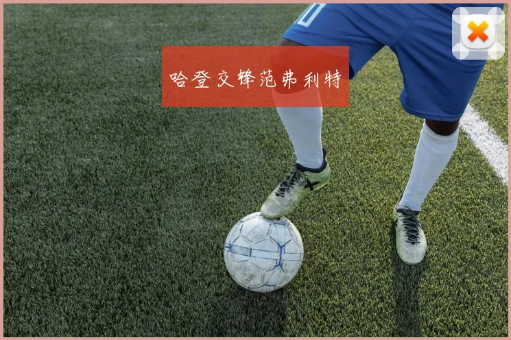 哈登交锋范弗利特 - 开云真人