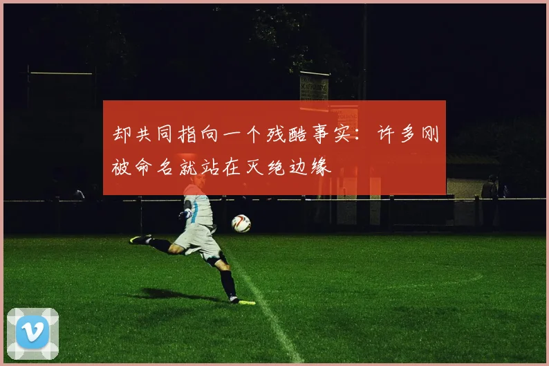 却共同指向一个残酷事实：许多刚被命名就站在灭绝边缘 - 开云真人