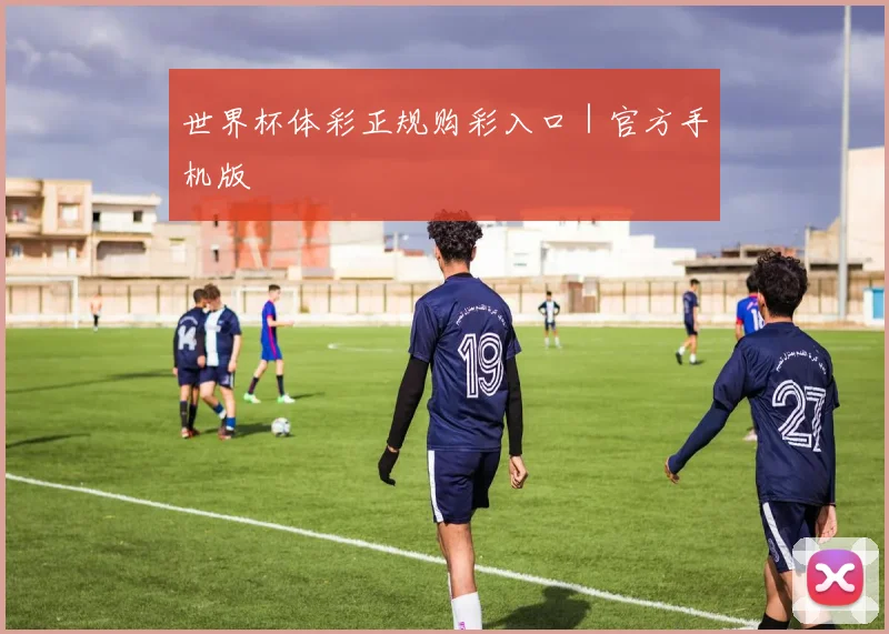 世界杯体彩正规购彩入口｜官方手机版 - 开云真人