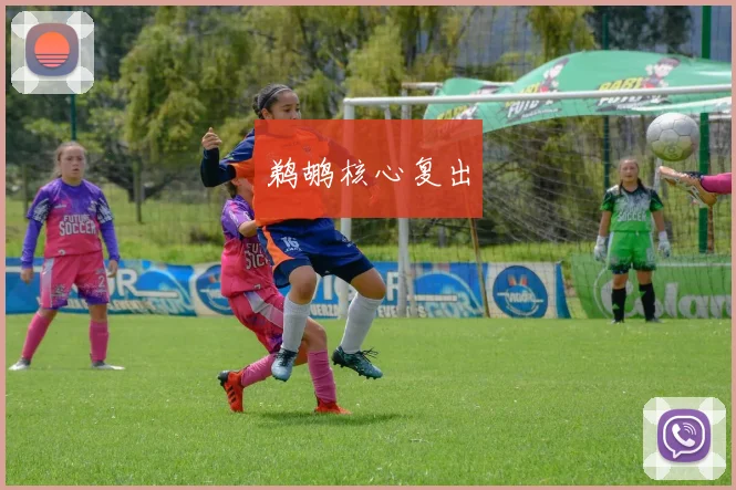 鹈鹕核心复出