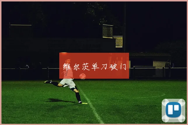 维尔茨单刀破门 - 开云真人