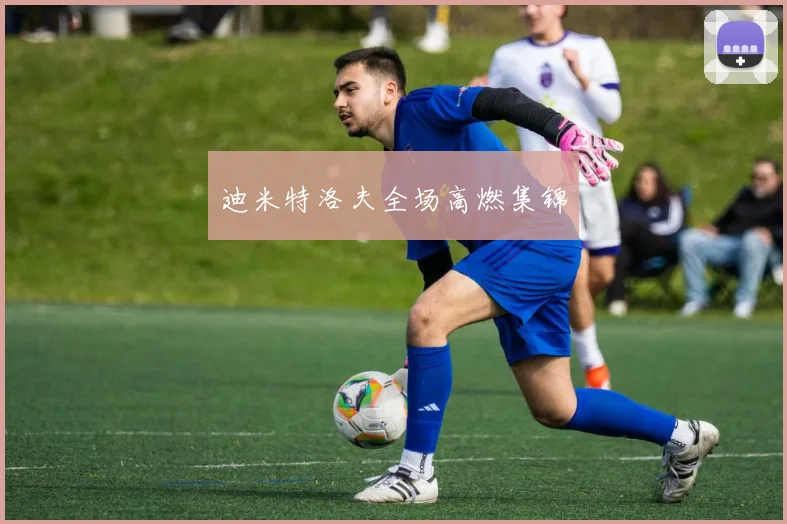 迪米特洛夫全场高燃集锦 - 开云真人