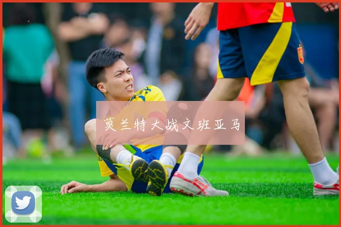 莫兰特大战文班亚马