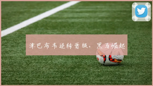 津巴布韦逆转晋级，黑马崛起 - 开云真人