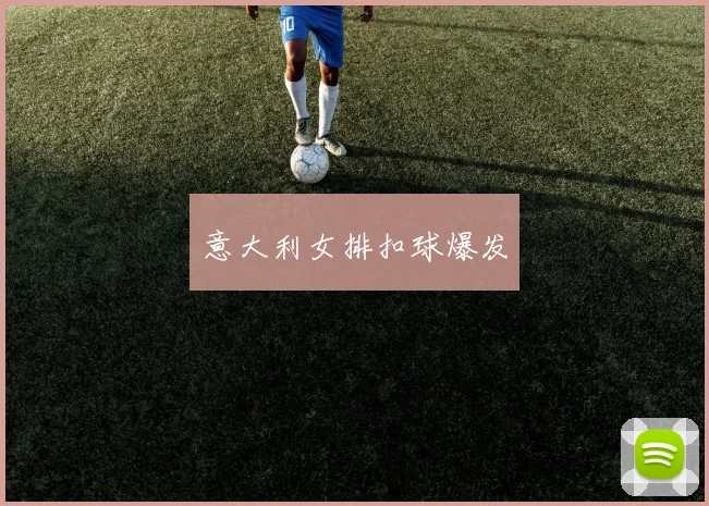 意大利女排扣球爆发