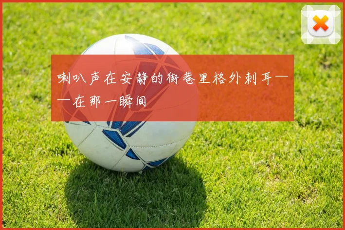 喇叭声在安静的街巷里格外刺耳——在那一瞬间 - 开云真人