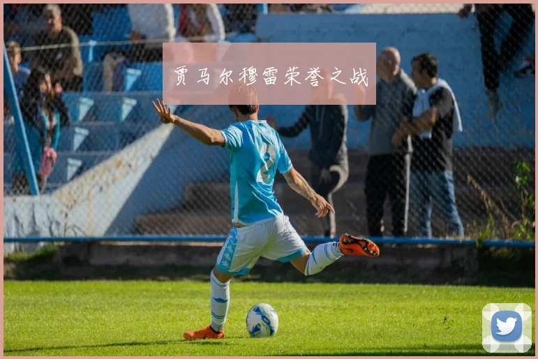 贾马尔穆雷荣誉之战