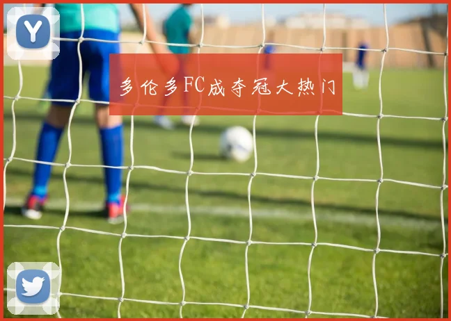 多伦多FC成夺冠大热门 - 开云真人