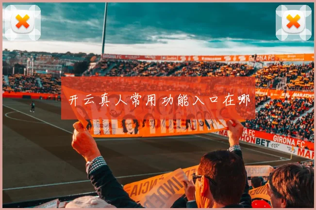开云真人常用功能入口在哪