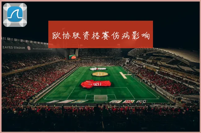 欧协联资格赛伤病影响