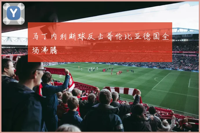 马丁内利断球反击哥伦比亚德国全场沸腾