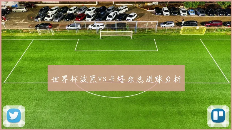 世界杯波黑vs卡塔尔总进球分析