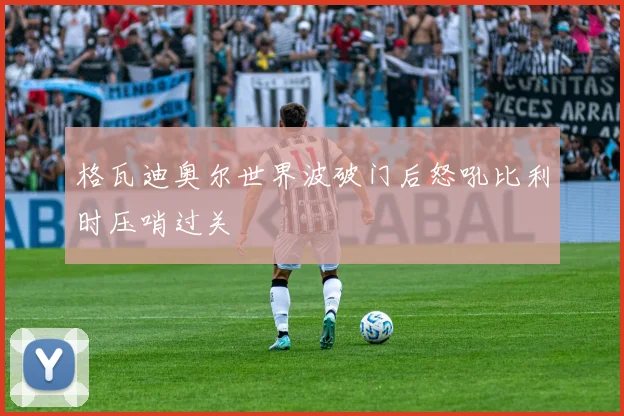 格瓦迪奥尔世界波破门后怒吼比利时压哨过关