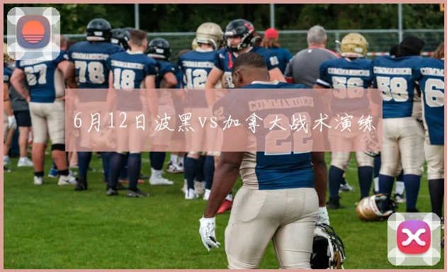 6月12日波黑vs加拿大战术演练